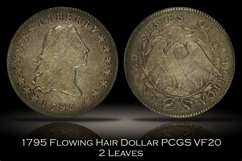 Michael Kittle Rare Coins - 1795 Flowing Hair Dollar 2 Leaves PCGS VF20