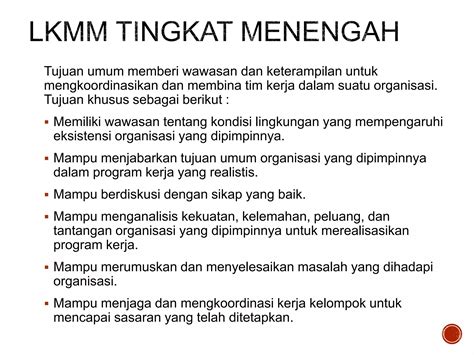 LKMM mm M 的图像结果