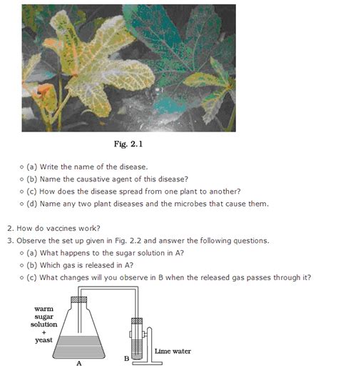 Image result for Class 8 Science Chapter 2 Question Answer
