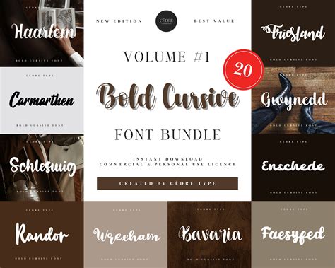 Bold Cursive Fonts Bundle 1, Bold Cursive Font OTF, Signature Font, Modern Calligraphy Fonts ...