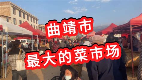 实拍介绍曲靖市最大的农副产品交易市场 沃柑5块钱16斤 - YouTube