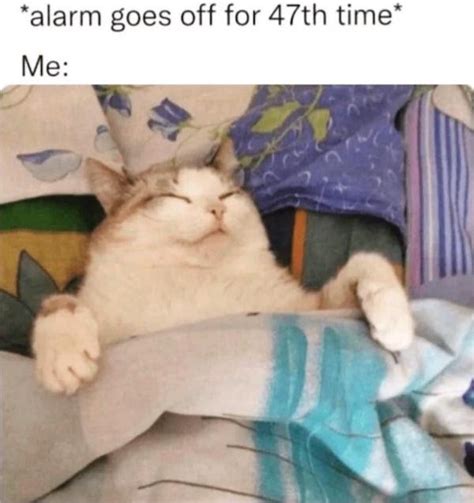 Random Funny Stuff 的图像结果