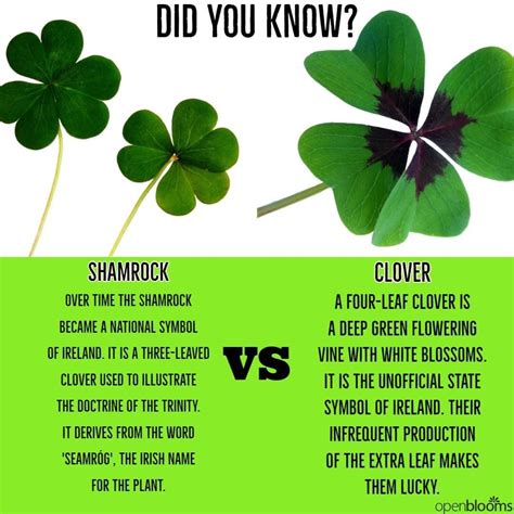 Irish Eyes Are Smiling | Beyond Words