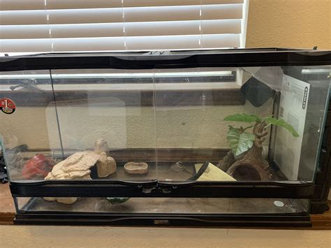 Terrarium for Sale in El Paso, TX - OfferUp