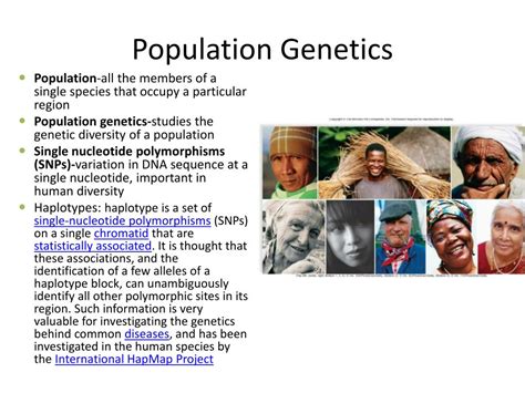 Image result for Population Genetics Basics