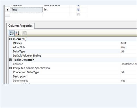 Data Type Conversion in SQL Server 的图像结果