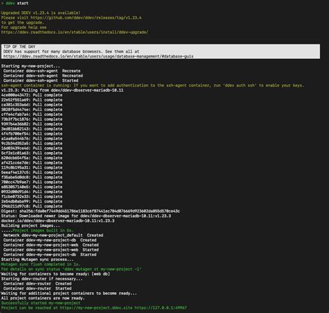 The Ultimate Guide to Faster Drupal Development (Using DDEV) | MindsCube