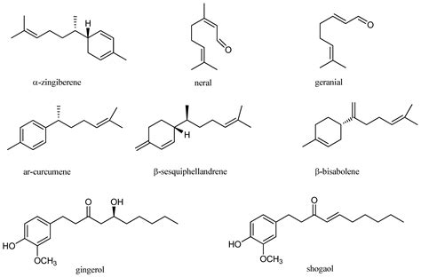 Plants of the Genus Zingiber as a Source of Bioactive Phytochemicals: From Tradition to Pharmacy