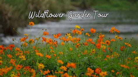 Wildflower Garden Tour , Trailside Nature Museum, Cross River, 27 April ...