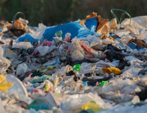 Biological Waste 的图像结果