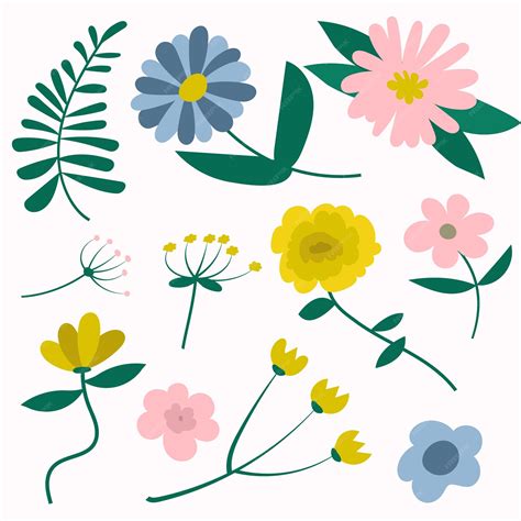 Premium Vector | Flowers hand drawing