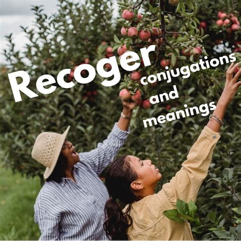 Recoger: Conjugation and Meanings of this versatile verb
