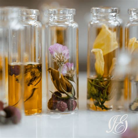 Tea Tree oil: but what are the pros and cons for your skin? - Iconic Elements by dr. Wu