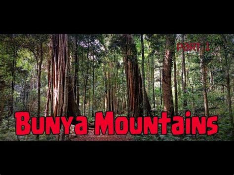 Image result for Python-Numpy Images for PPT
