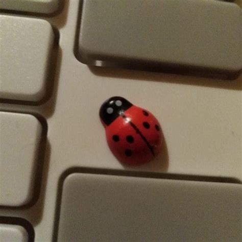 Volca Modular Demo 的图像结果