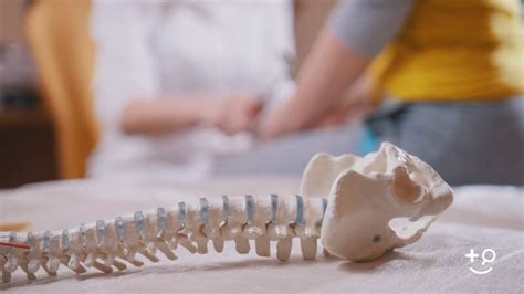 Image result for Deep Tissue Lower Back