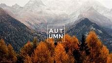 Fall Backgrounds Aesthetic Desktop by Pin By Molly Goforth On Wallpaper Macbook Pro Wallpaper Fall Backgrounds Aesthetic Desktop