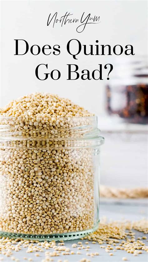 Does Quinoa Go Bad? How Long Does it Last? - Northern Yum