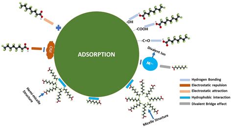A Critical Review on PFAS Removal from Water: Removal Mechanism and ...