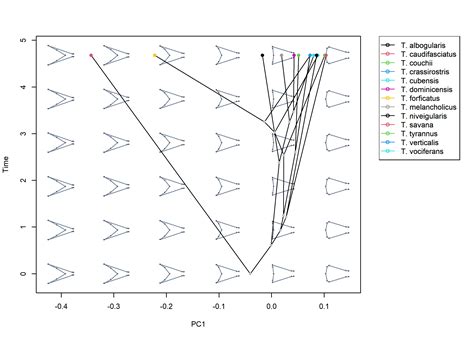 Morphospace Local Optima 的图像结果
