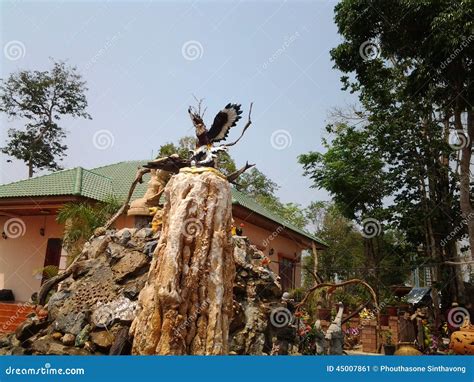 Birds fly but cant stock image. Image of stone, birds - 45007861