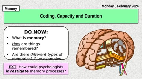 Image result for Coding Capacity and Duration of Memory