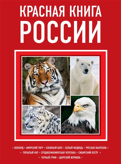 Картинка красной книги россии: Птицы Красной Книги России – описание ...