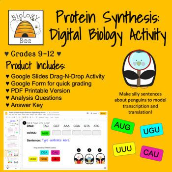 Image result for Protein Synthesis Practice HS LS1 1