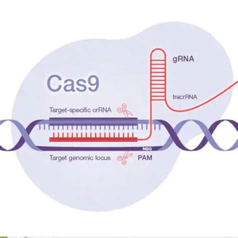 Biotechnology Business and Innovation Solutions | Thermo Fisher ...
