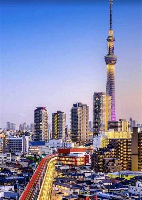 Tokyo Private Car Charter │ Online Reservation for Mt. Fuji, Lake ...