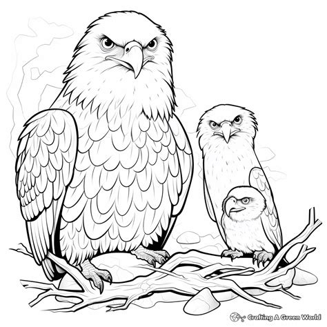 Flying Eagle Coloring Pages - Free & Printable!