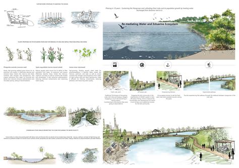 Remediating Water and Estuarine Ecosystem | CEPT - Portfolio