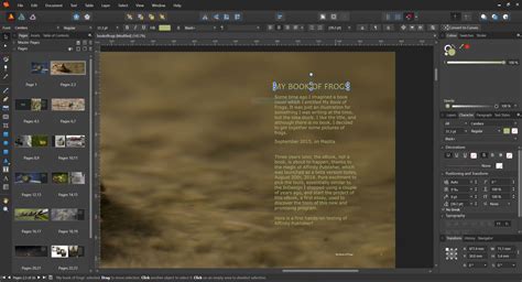 Affinity Publisher: an affordable alternative to Adobe InDesign by Jose ...