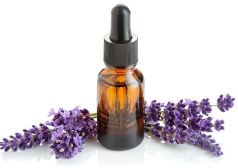 How to export Ayurvedic products from India?
