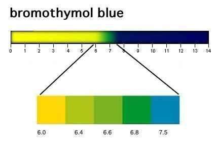 Image result for Bromothymol Blue Color Chart