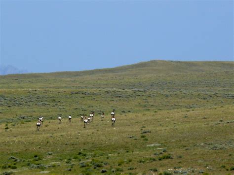Elevation of Rock River, WY, USA - Topographic Map - Altitude Map