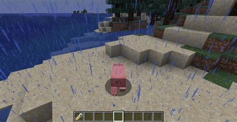 Image result for Minecraft Morph Color