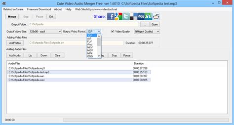 Image result for Install Audio Video File Merger