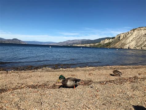 Three Mile Beach, Penticton — Exploratory Glory Media Travel and ...