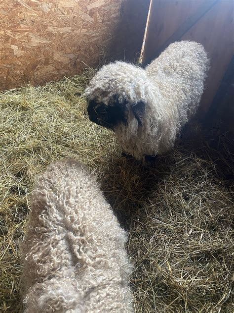 10 BEST Places to Visit in Macclesfield - UPDATED 2022 (with Photos ...