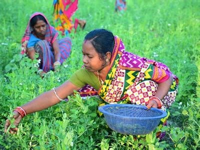 Odisha Community Tank Development & Management Society