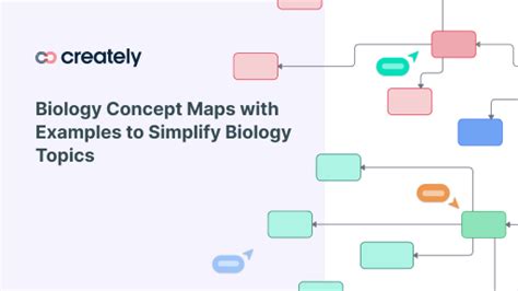 Concept Map Biology 的图像结果