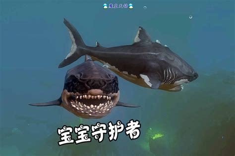 天铭 海底大猎杀 第二季 119 生不出宝宝的远古巨齿鲨，好可怜！_凤凰网视频_凤凰网