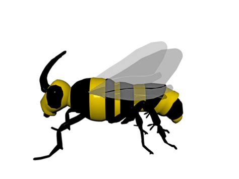 Busy Bee PNG 的图像结果