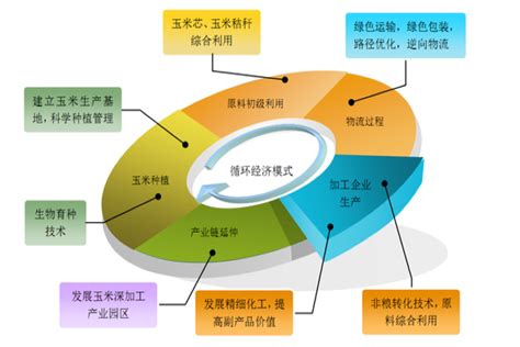准确理解“双循环”背后的发展战略调整（上）_中国