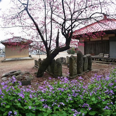 HOKO-JI TEMPLE (2025) All You Need to Know BEFORE You Go (with Photos ...