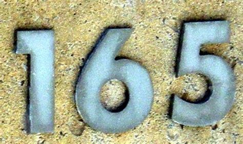 165 number vector font alphabet. Number 165 with decorative element ...