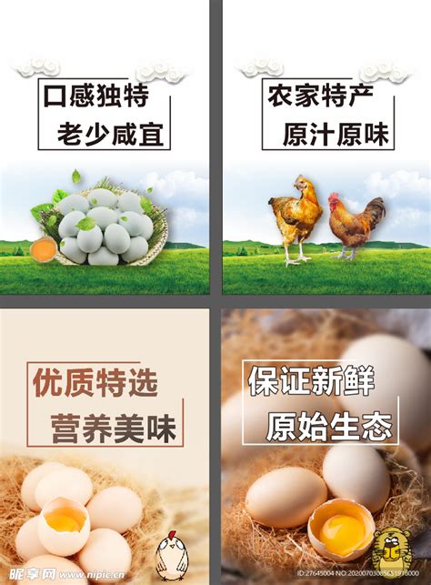 土鸡蛋宣传海报背景图片下载_4921x2952像素JPG格式_编号z7nfg06jv_图精灵