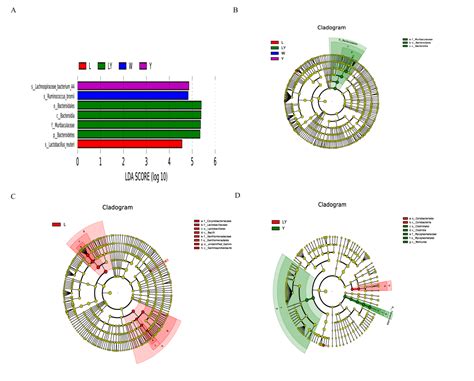 Fortified Fermented Rice-Acid Can Regulate the Gut Microbiota in Mice ...