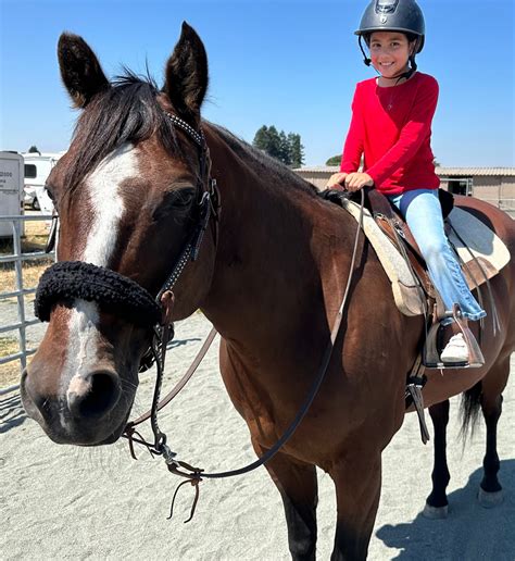 Student’s Work – Pegasus Riding School